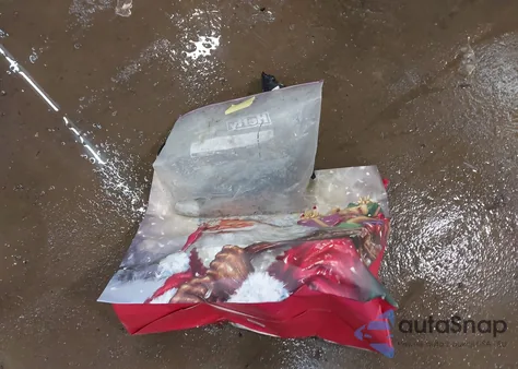 2019 Ford Edge Sel z USA, uszkodzony, nr VIN 2FMPK3J90KBC59334